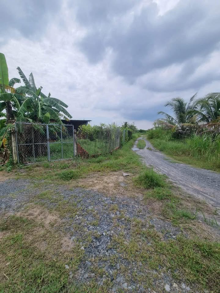 Đất nền Long Hoa, Tây Ninh 1000m² giá 380 triệu - Đường ô tô thuận tiện!