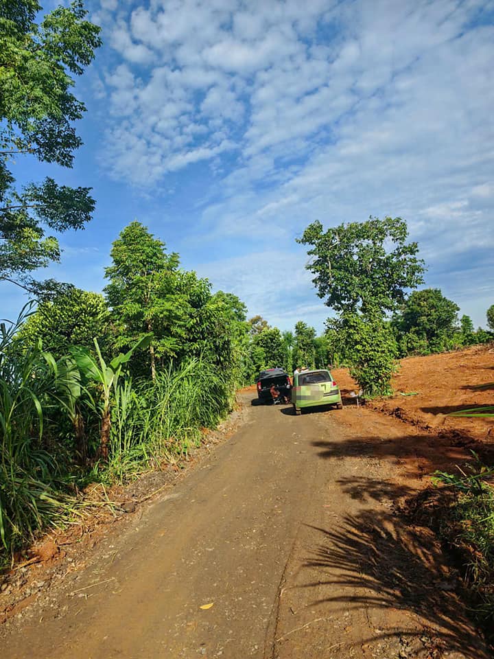 Đất nền 500m² đường A3, thôn 4, Buôn Ma Thuột - Giá 980 triệu, đầu tư sinh lời ngay!