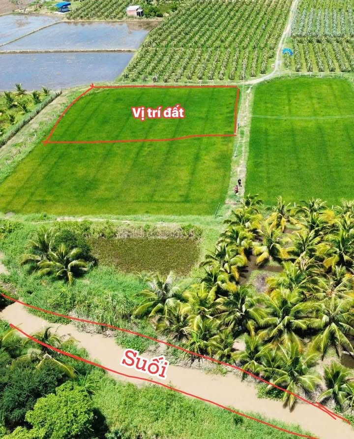 Đất nền 3 mặt tiền tại Bình An, Hàm Chính 1700m² giá chỉ 715 triệu - Đầu tư sinh lời tuyệt vời!