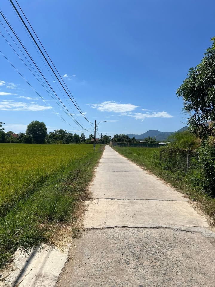 Đất nền Ninh Thọ Ninh Hòa 5000m² - Đầu tư sinh lời ngay!