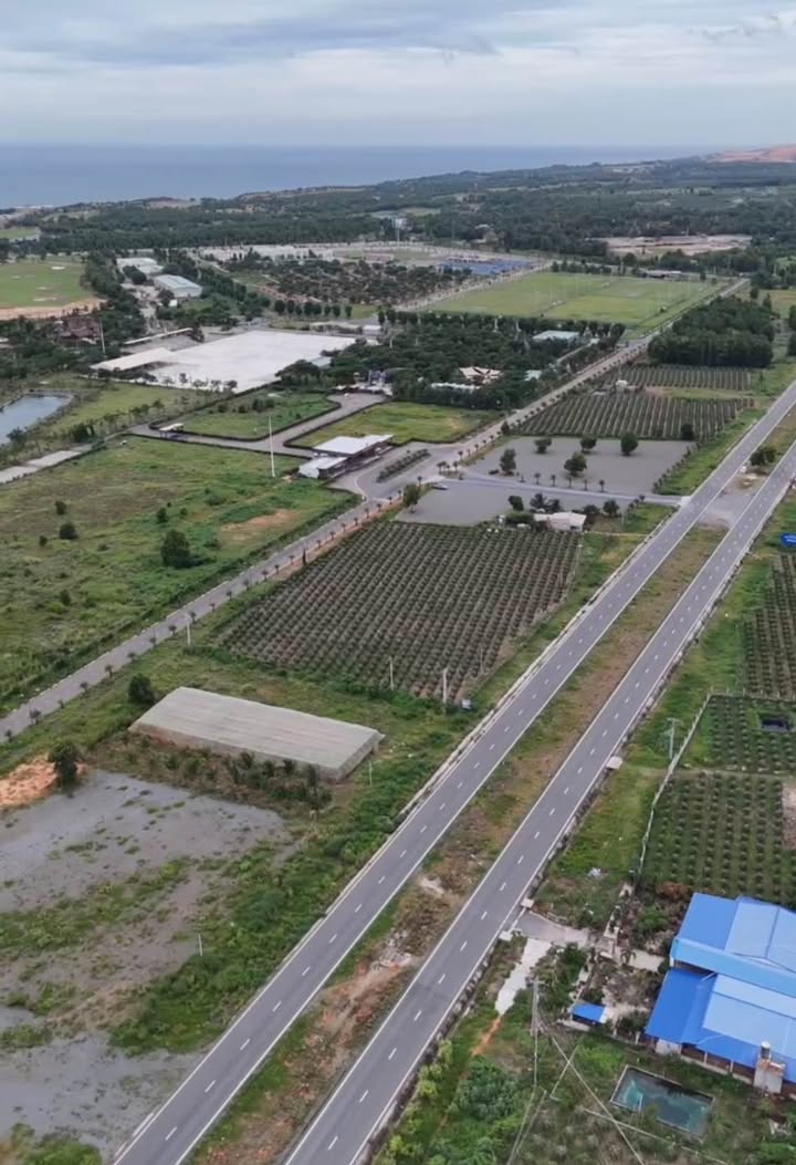 Bán lô đất farm 1 ha Tiến Thành - Phan Thiết giá 18 tỷ - Đầu tư sinh lời lý tưởng!