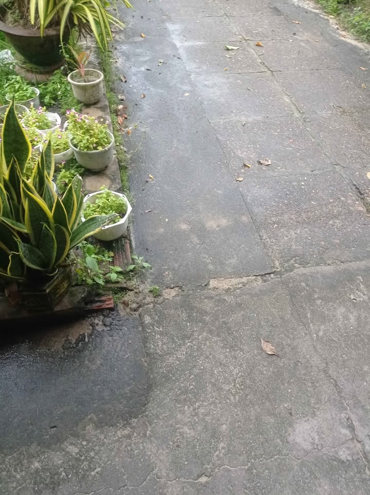 Đất nền Điện Nam Bắc 170m² giá 2 tỷ - Vị trí đẹp, đầu tư sinh lời!