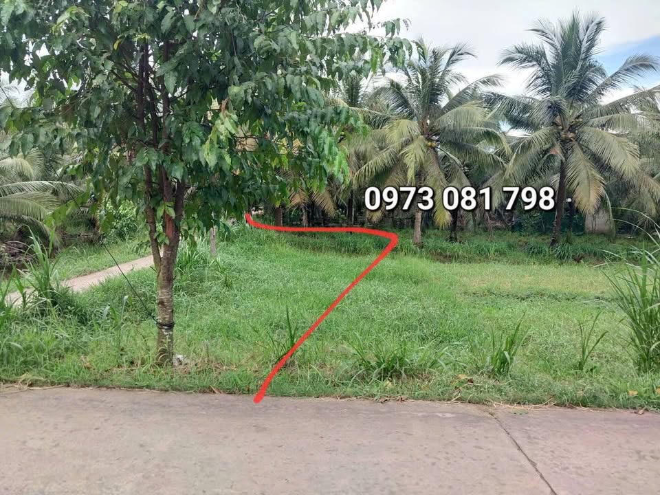 Đất nền góc 2 mặt đường Đại Điền, Vĩnh Long 192m² giá 250 triệu - Cơ hội đầu tư tuyệt vời!