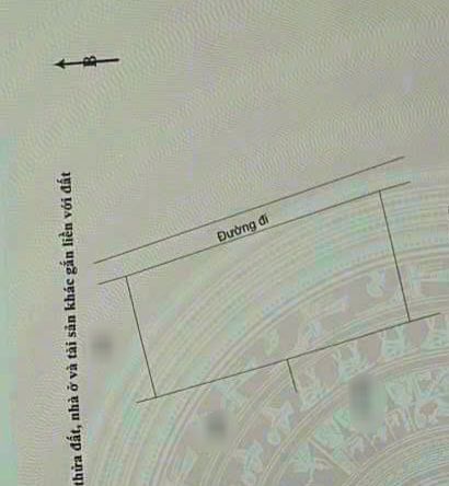 Đất nền Phú Khương Bến Tre 2037m² giá 2.037 tỷ - Mặt tiền 65m, đường thông thoáng!