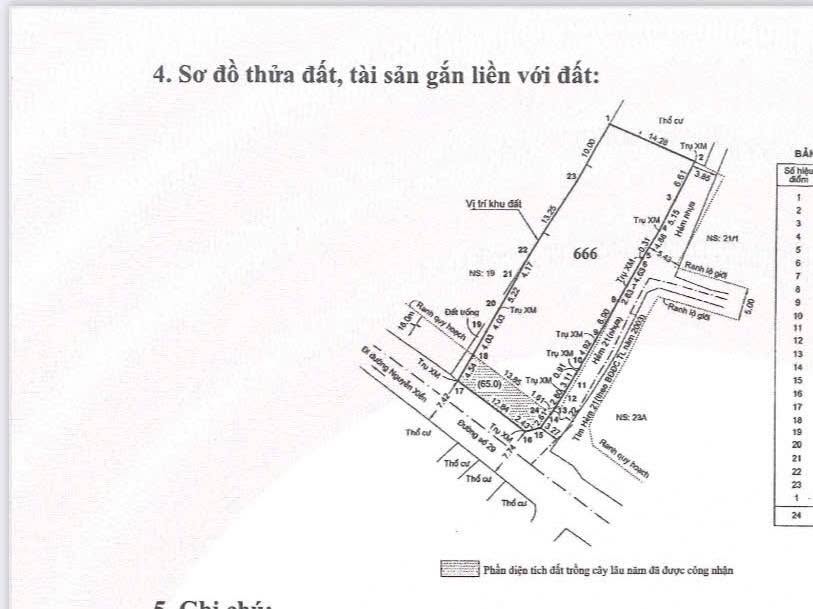 Đất ở Đường số 29, Quận 9, 695m² chỉ 35 tỷ - Cơ hội đầu tư tuyệt vời!