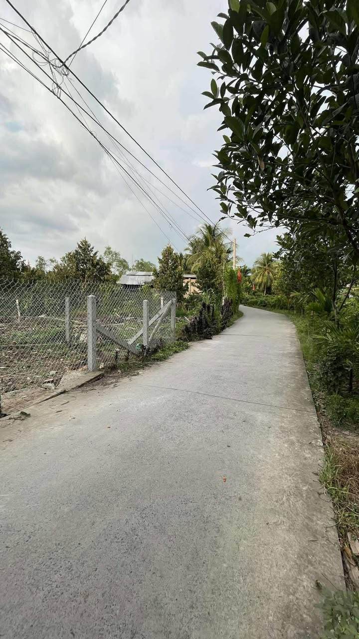 Đất nền thổ cư 250m² tại xã Vĩnh Kim, Tiền Giang - Giá 800 triệu, đầu tư sinh lời!