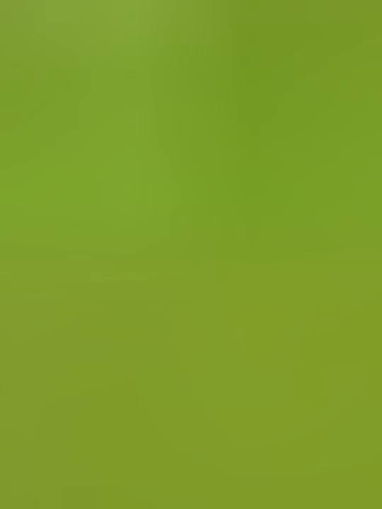 Nhà 2 tầng Nguyễn Tri Phương 17m² giá 3.1 tỷ - Khu an ninh, tiện ích đầy đủ!