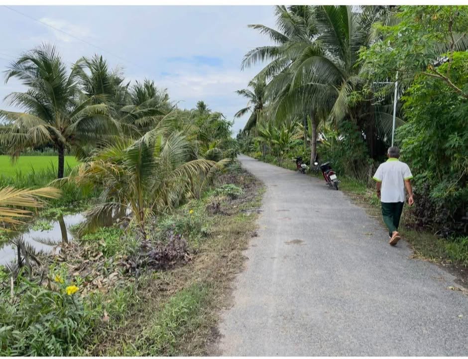 Đất nông nghiệp Trung Ngãi Vĩnh Long 1.500m² giá 400 triệu - Sổ hồng chính chủ!