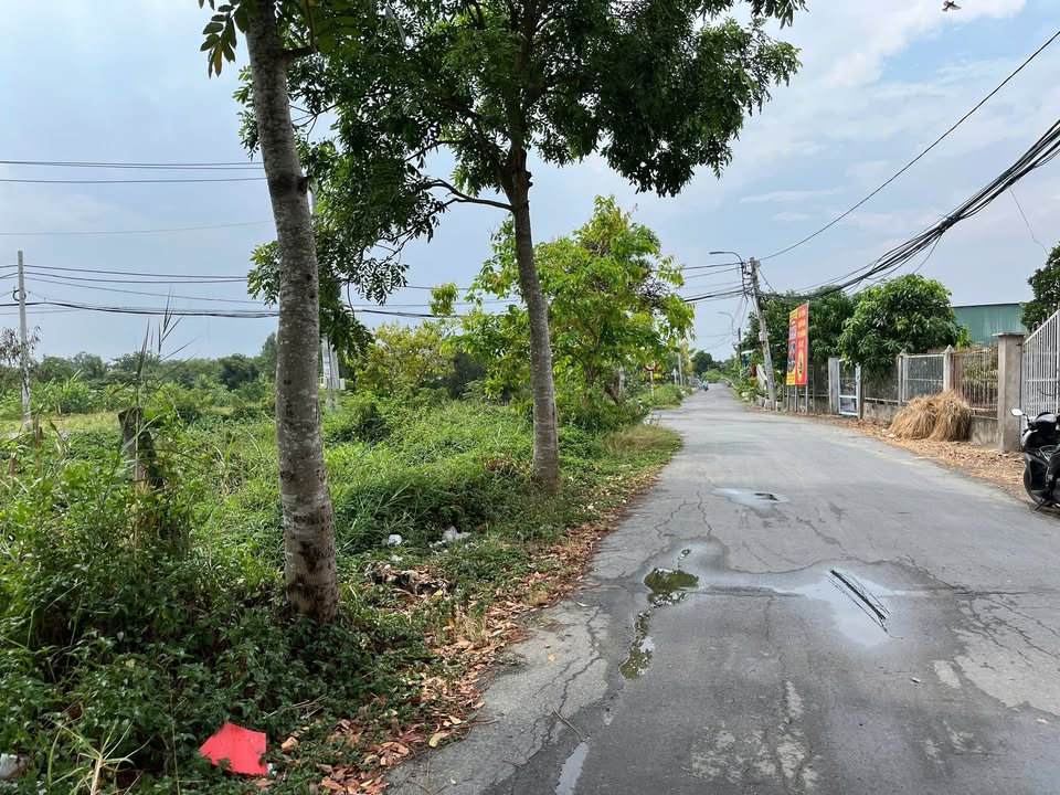 Đất vườn Bùi Văn Sự, Mỹ Đức, Bình Chánh 2428m² - Giá tốt, thương lượng