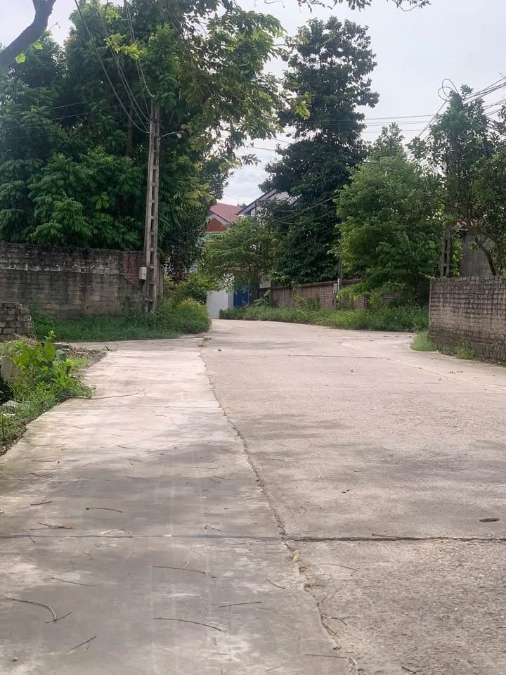 Đất mặt đường liên xã Danh Thắng, Hiệp Hòa 113m² giá 1.3 tỷ - Cơ hội đầu tư hấp dẫn!