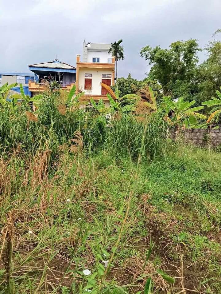 Đất Lộng Đồng, Lộc An 55m² giá 730 triệu - Chính chủ cần bán gấp!