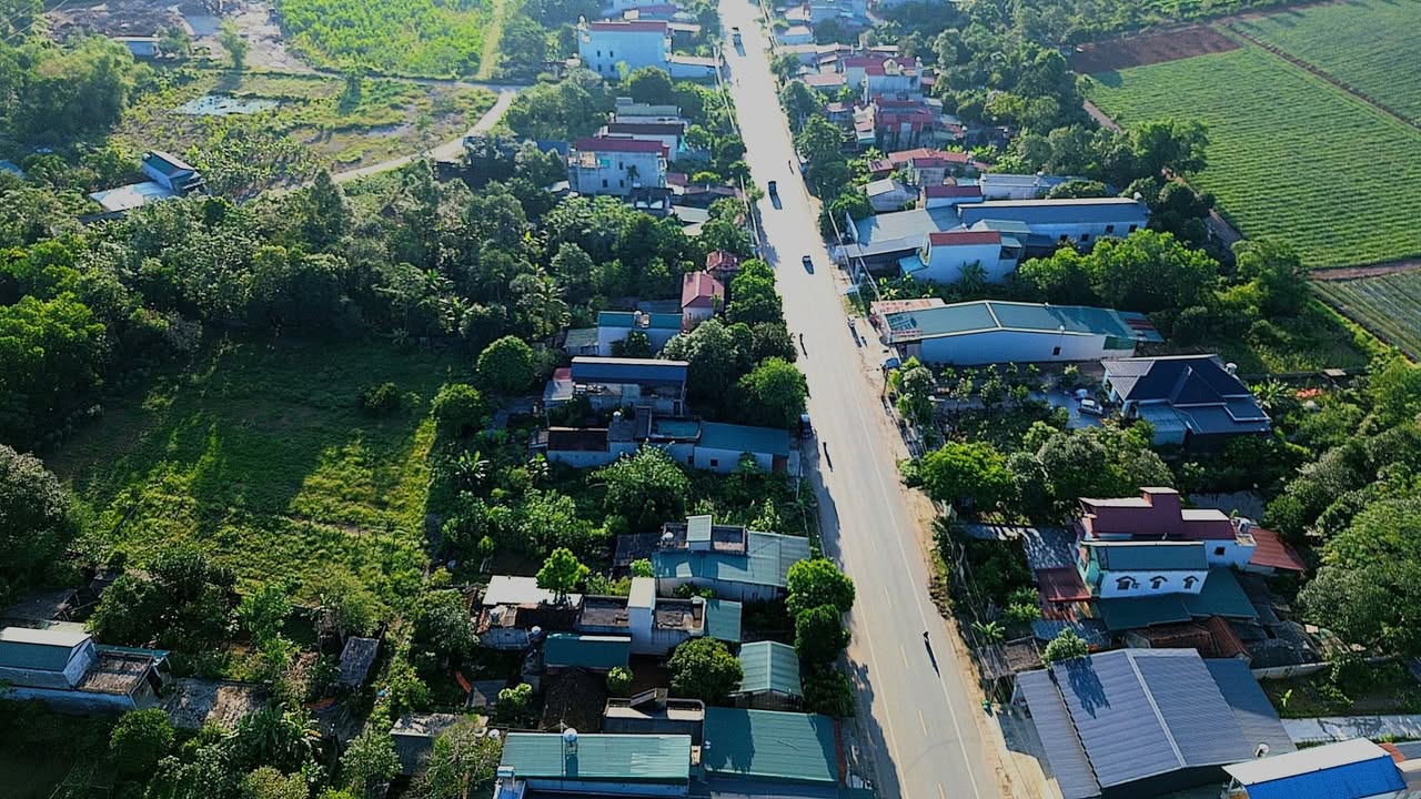 Đất thổ cư 135m² tại Quỳnh Lưu, Ninh Bình - Giá yêu thương, nhanh tay sở hữu!