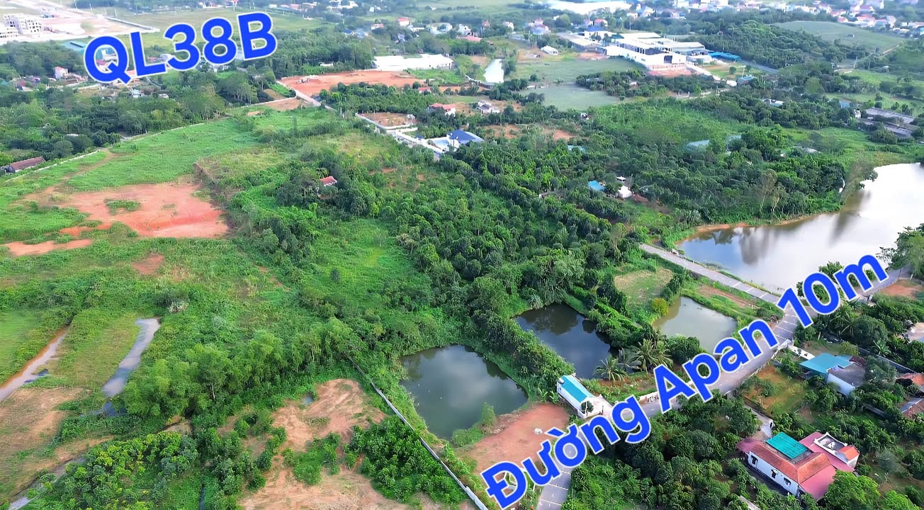 Đất thổ cư 5000m² tại xã Quỳnh Lưu, Nho Quan, Ninh Bình - Đầu tư sinh lời ngay!