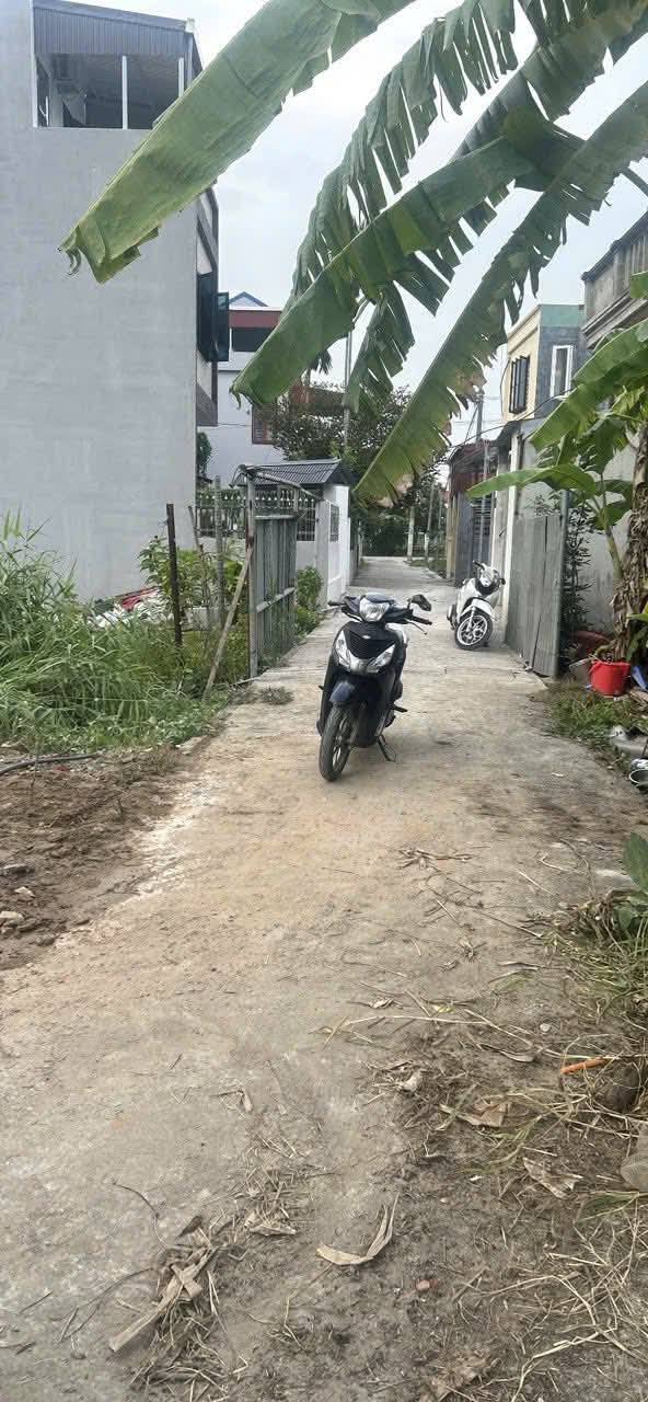 Đất góc Tràng Cát, Hải An 58m² giá 1.55 tỷ - Cơ hội đầu tư hấp dẫn!