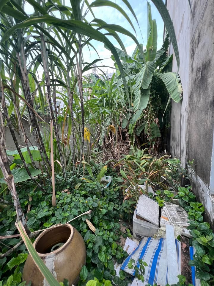 Đất nền Trường Thọ 90m² giá chỉ 5 tỷ - Cơ hội đầu tư tuyệt vời!