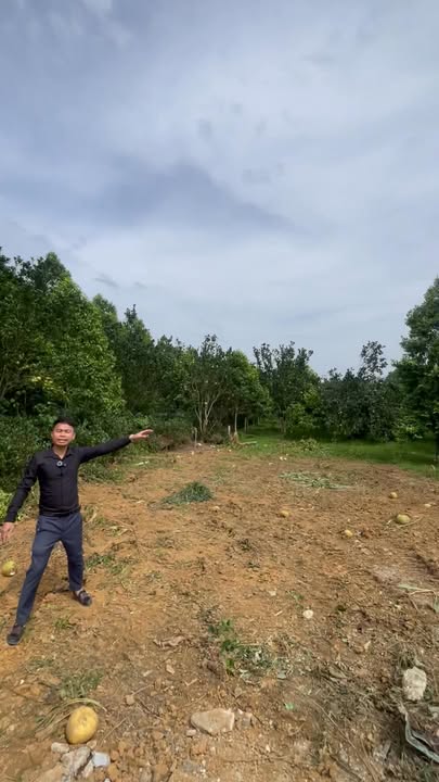 Đất thổ cư Tân Lâm, Lạc Thủy 2100m² - Tiềm năng đầu tư lớn!