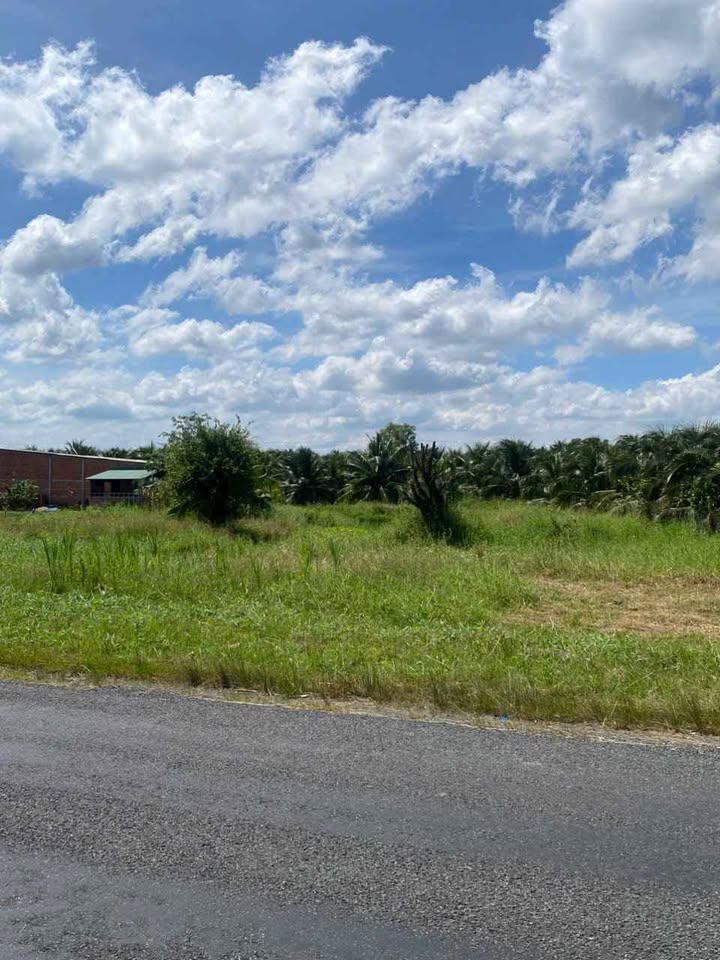 Đất nền 1000m² mặt tiền đường Vành Đai, Tân Khánh - Giá 2.5 tỷ, thương lượng!