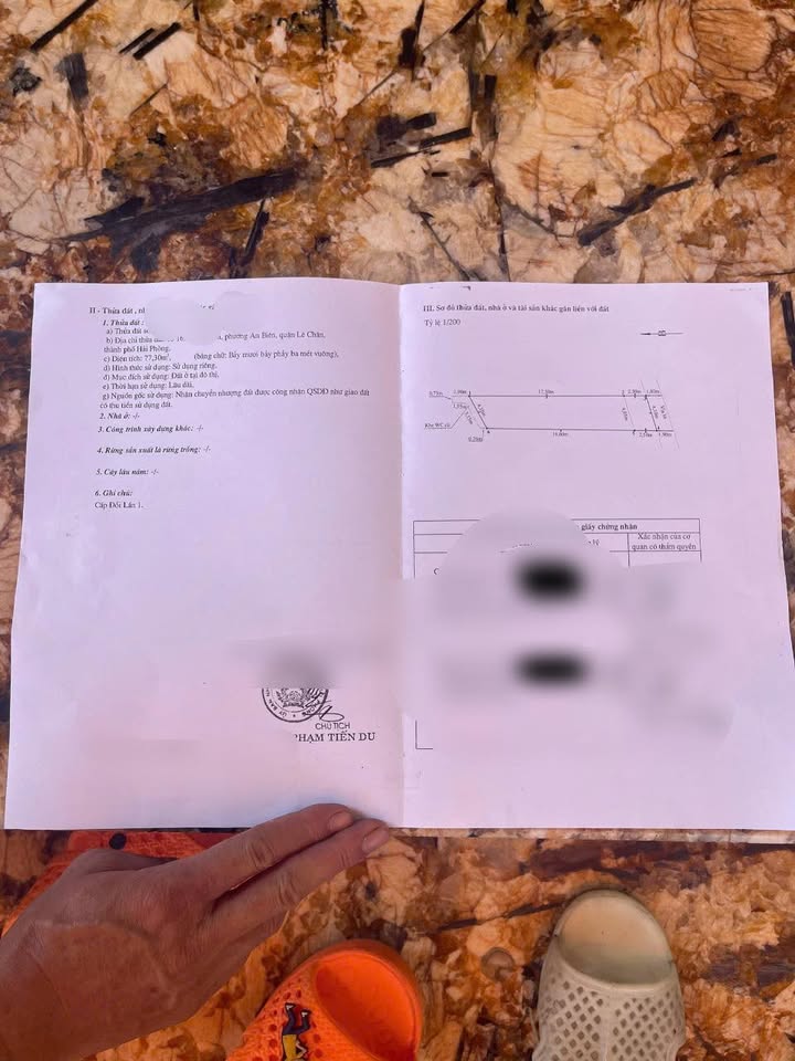 Đất mặt ngõ Trương Hán Siêu, Hải Phòng 77m² - Sổ đỏ chính chủ, ô tô đỗ cửa!