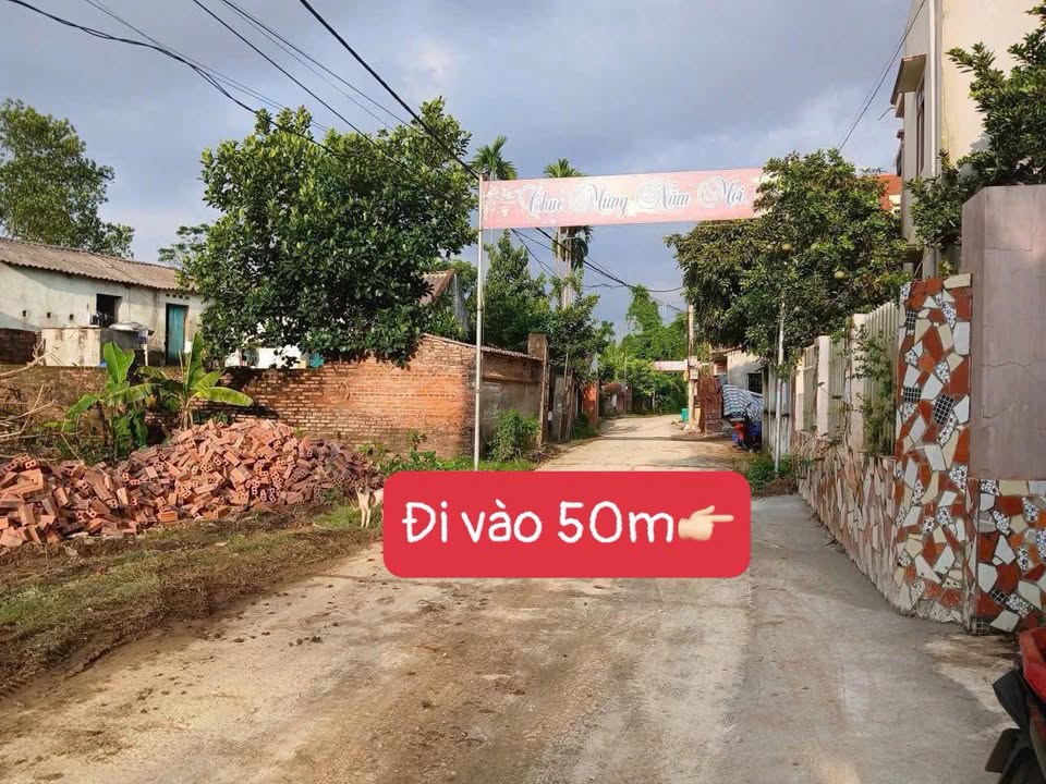 Đất nền khu 2 Sông Lô, Thanh Miếu 164.5m² giá 1 tỷ - Cơ hội đầu tư lý tưởng!