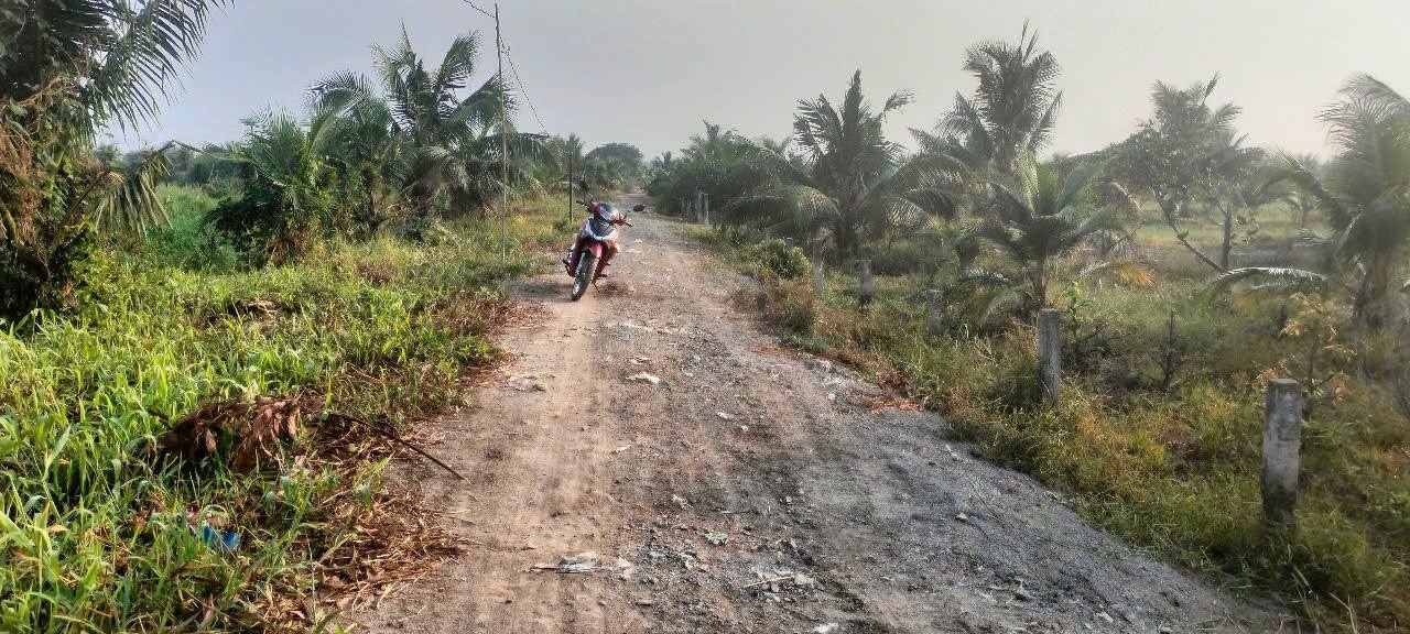 Đất vườn Bình Lợi, Bình Chánh 1000m² giá 2.3 tỷ - Cơ hội đầu tư hấp dẫn!