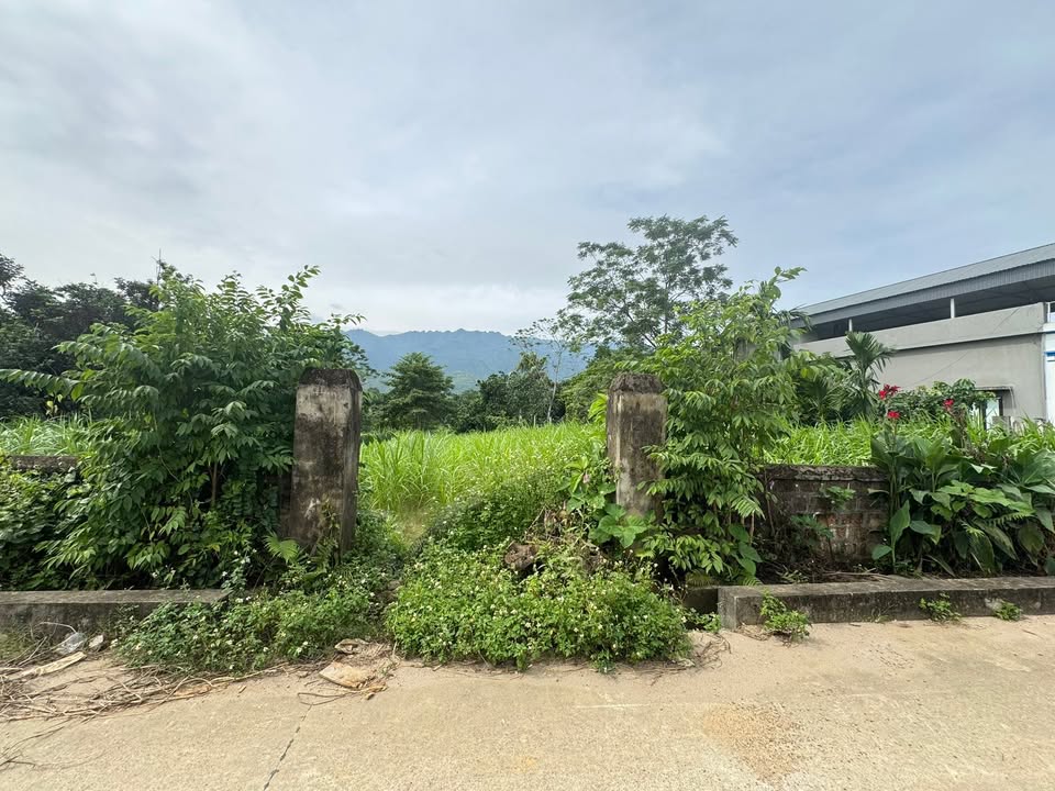 Lô đất Cự Đồng, Thanh Sơn 1.153,6m² giá thỏa thuận - Sổ đỏ chính chủ!