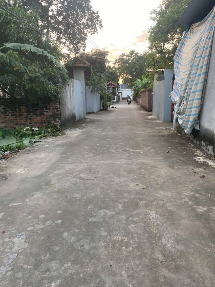 Đất thổ cư 98m² Lập Trí, Minh Trí, Sóc Sơn - Gần chợ, ô tô tránh!