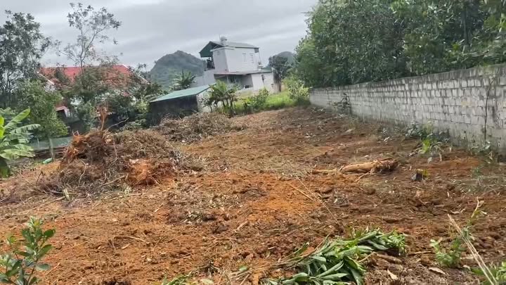 Đất nền Sơn Lai, Nho Quan, Ninh Bình 1450m² - Cơ hội đầu tư sinh lời!