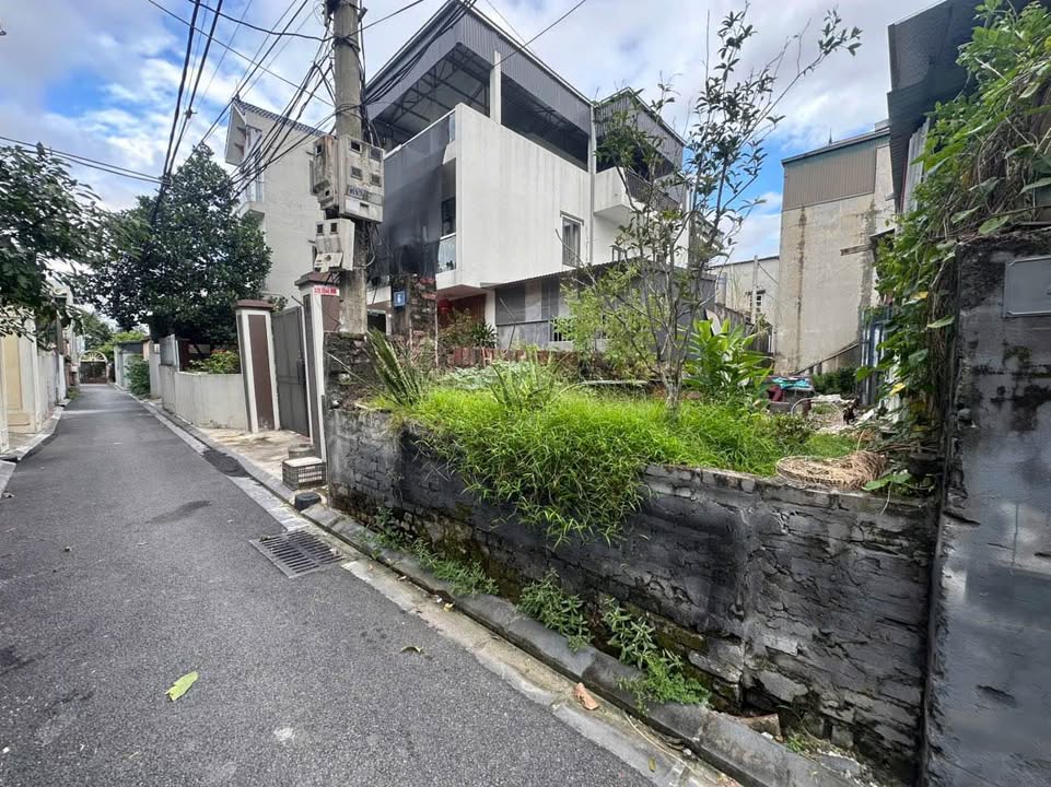 Đất nền Vạn Lộc - Xuân Canh, Đông Anh 81.7m² - Chính chủ bán gấp!