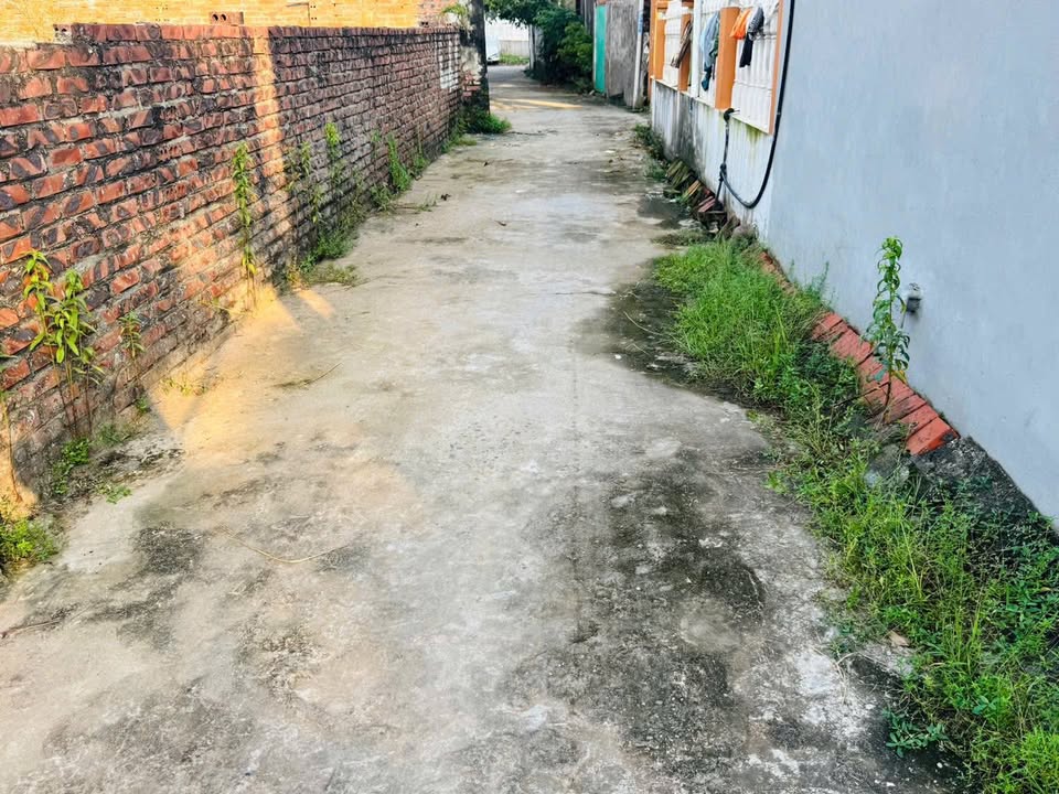 Đất nền Tứ Xã 103m² giá 900 triệu - Đầu tư sinh lời ngay!