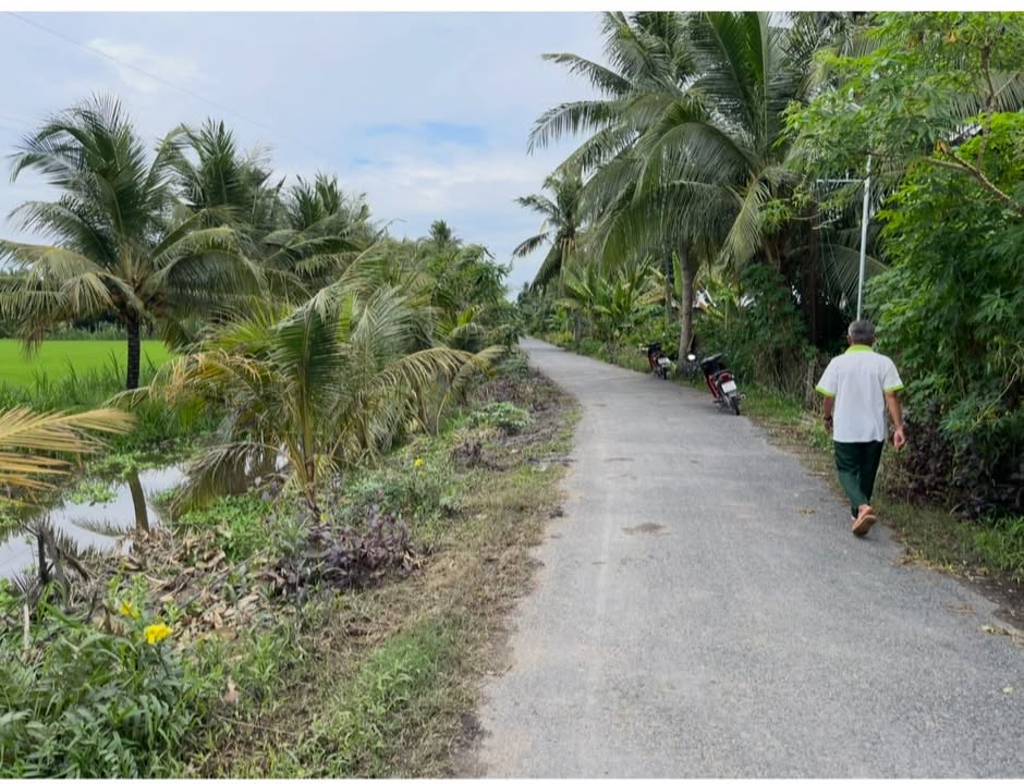 Đất nông nghiệp 1.500m² tại Trung Ngãi, Vũng Liêm - Giá chỉ 1.6 tỷ VND!