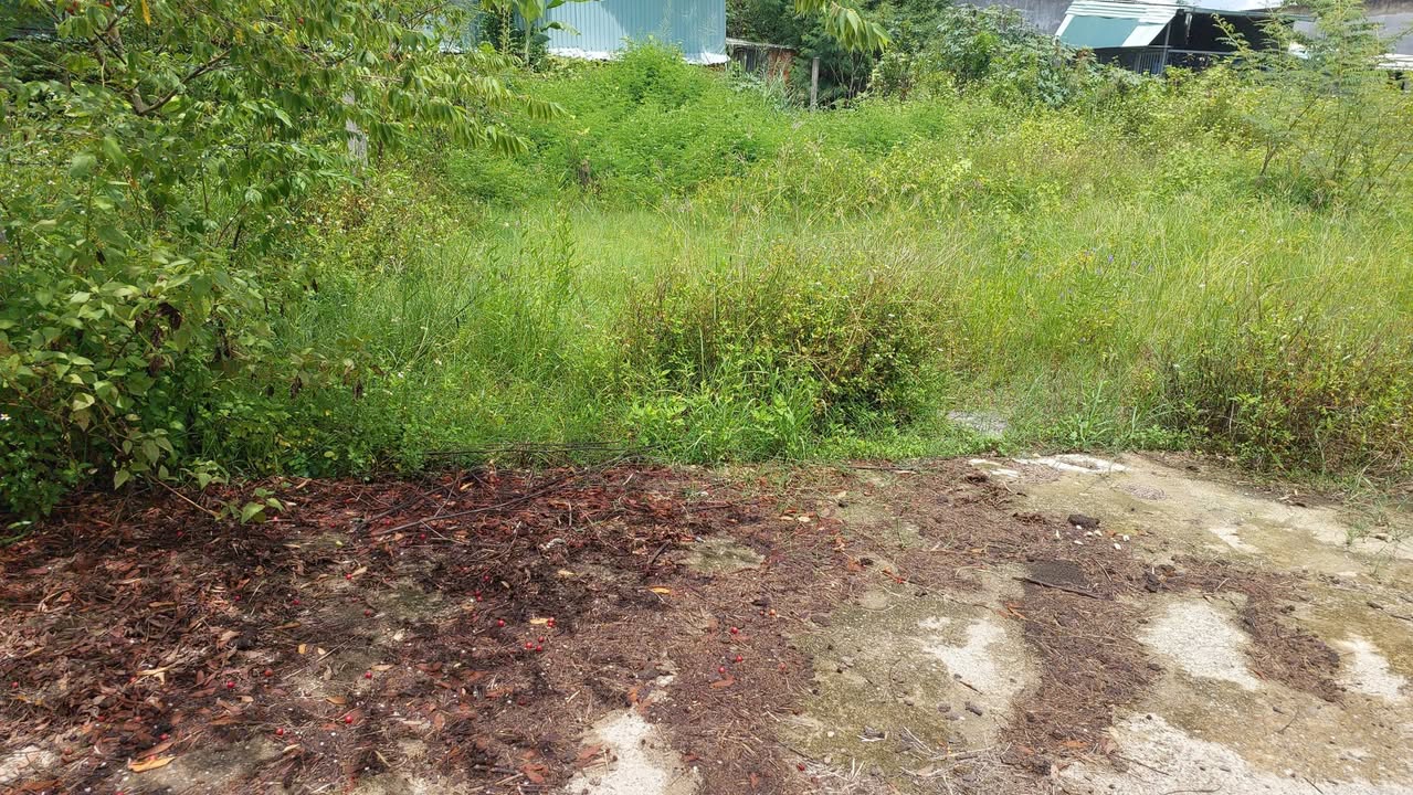 Đất nền Thôn Phú Sơn 1, Hòa Khương, Đà Nẵng 130m² giá 700 triệu - Cơ hội đầu tư hiếm có!