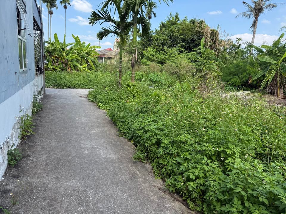 Đất nền Hồng Thái An Dương 73m² giá 1 tỷ - Cơ hội đầu tư hấp dẫn!