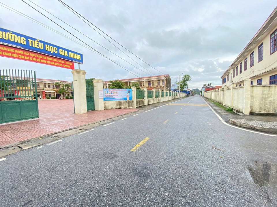 Đất nền dự án Gia Minh, Thủy Nguyên, Hải Phòng 65m² - Giá chỉ 645 triệu/lô!