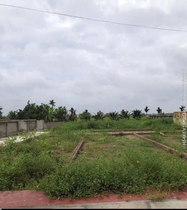 Đất nền An Thọ, An Lão 64m² giá 500 triệu - Chính chủ bán gấp!