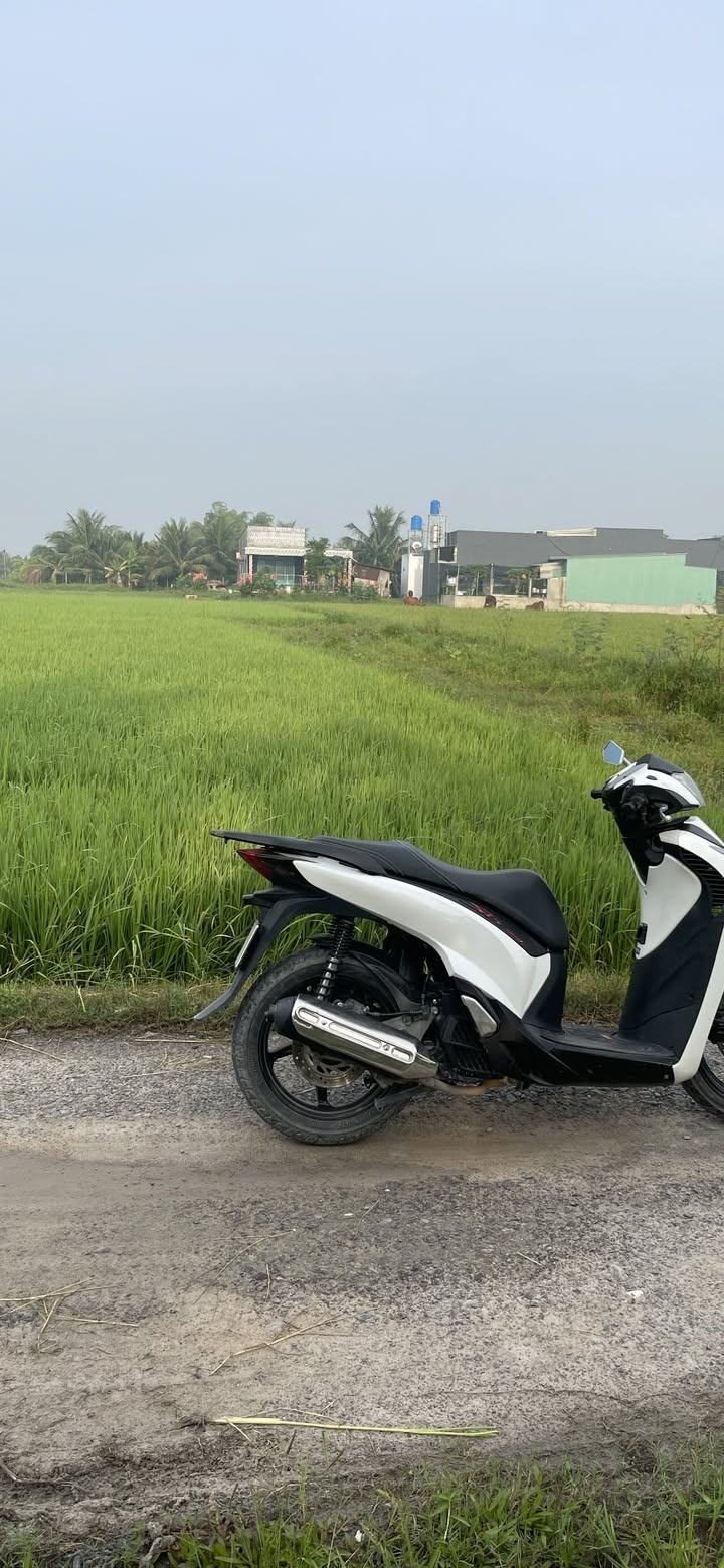 Đất nền Đức Lập, Đức Hòa, Long An 780m² giá 1.85 tỷ - Cơ hội đầu tư tuyệt vời!