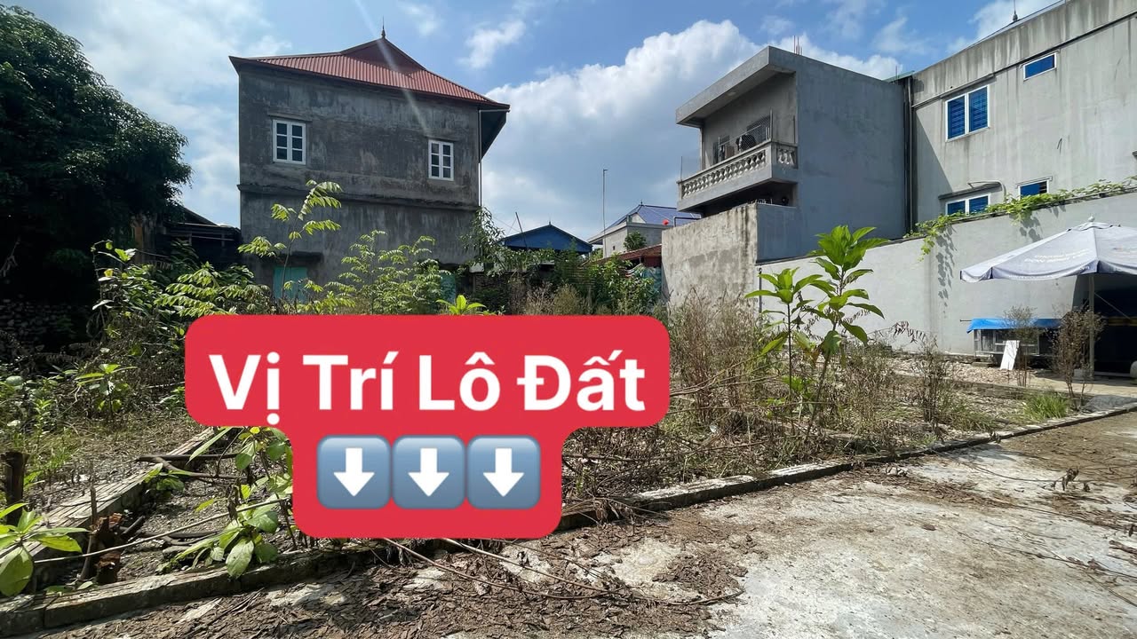 Đất Hương Sơn, Mỹ Đức 56.9m² giá tốt - Tiềm năng đầu tư lớn!