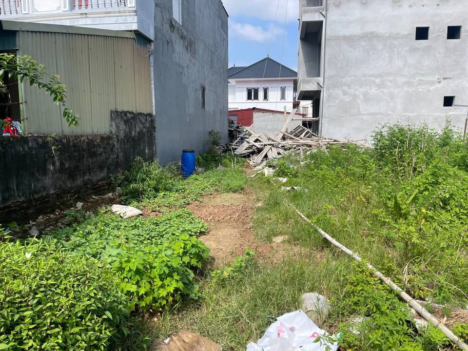 Đất nền Mai Đình Sóc Sơn 99m² giá 4 tỷ - Vị trí đẹp ô tô vào tận nơi!