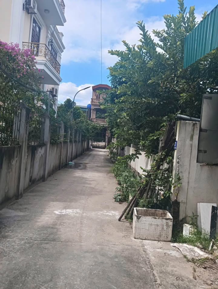 Đất nền Tự Nhiên, Thường Tín 42,3m² giá 1,78 tỷ - Đầu tư sinh lời cao!