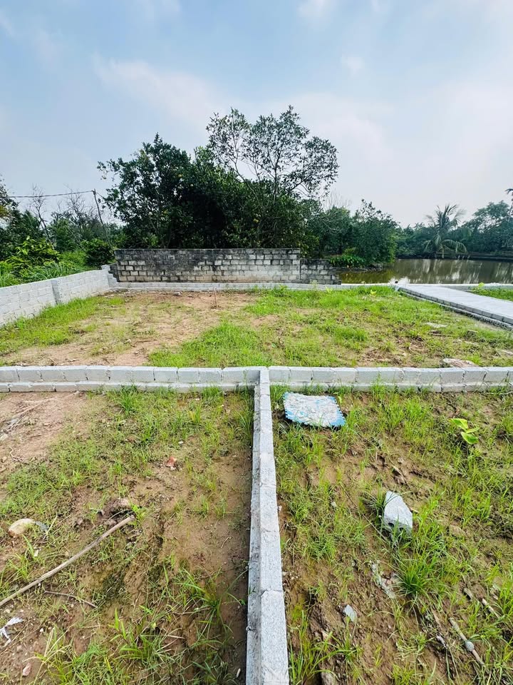 Đất nền Tri Thủy, Phú Xuyên 80m² - Giá trị tăng cao, đầu tư thông minh!