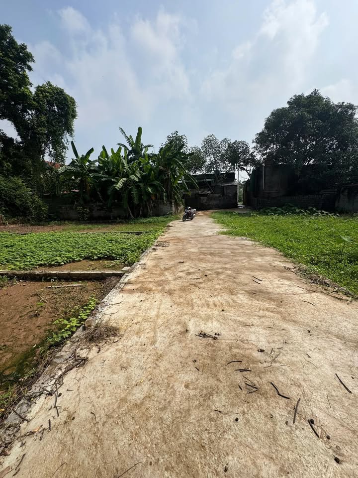 Đất nền Bạch Hạ, Phú Xuyên 80m² giá 1.3 tỷ - Tiềm năng đầu tư sinh lời cao!