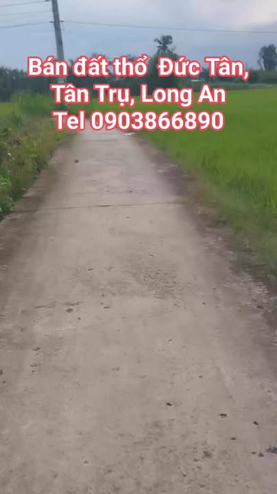 Đất thổ cư Đức Tân Tân Trụ 245m² giá 650 triệu - Nở hậu, đường thông xe hơi