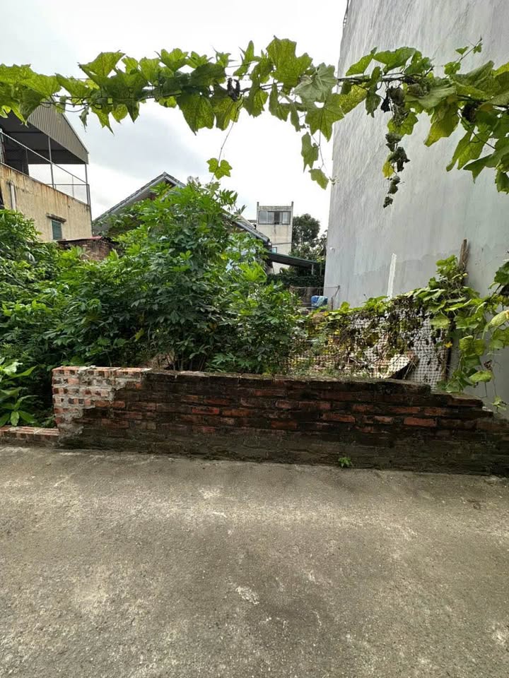 Nhà Yên Nghĩa Hà Đông 50m² giá 4 tỷ - Ô tô đỗ cửa, ngõ thông thoáng!