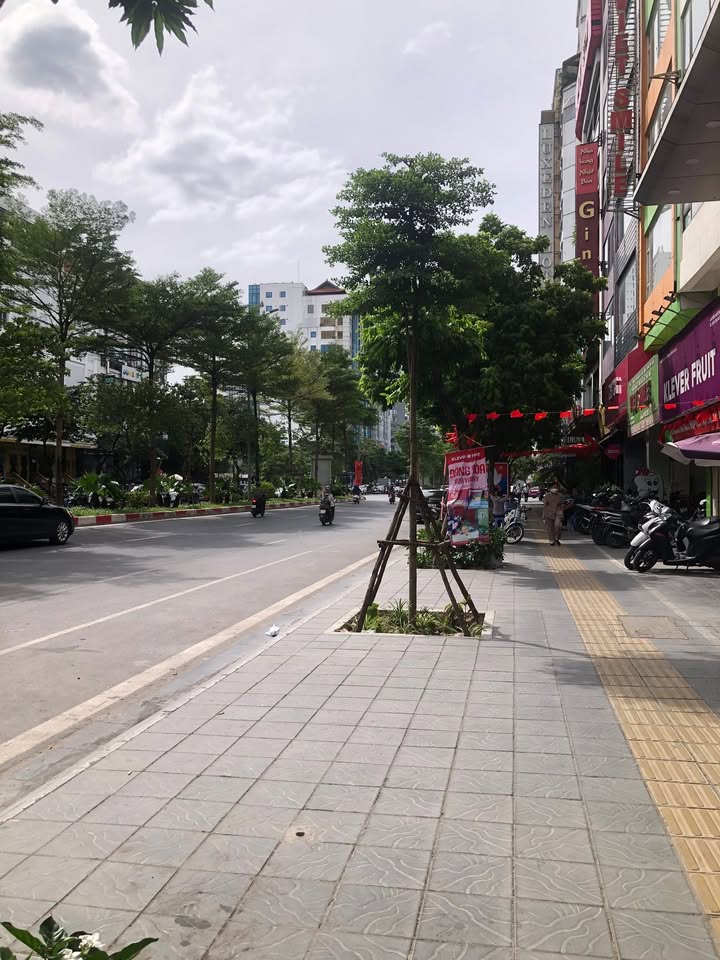 Mặt phố Nguyễn Phong Sắc 62m² giá 30 tỷ - Tiềm năng kinh doanh vượt trội!