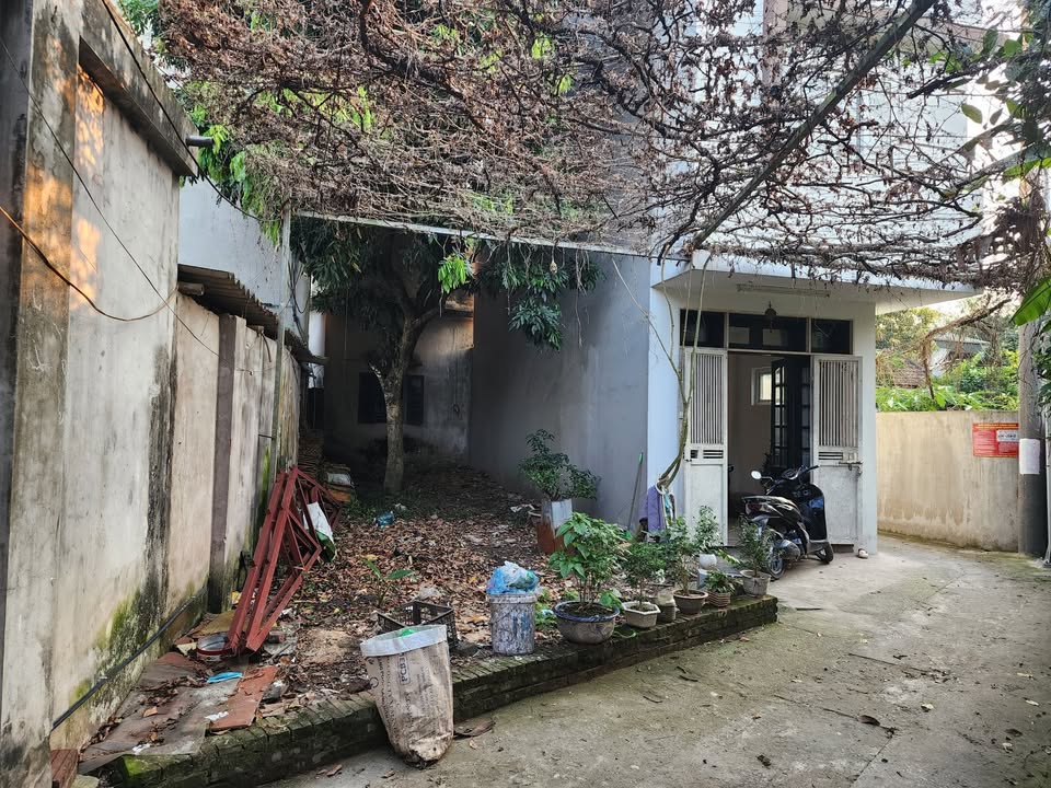 Đất Ngọc Hồi, Thanh Trì 56.3m² giá 4 tỷ - Đầu tư sinh lời ngay!