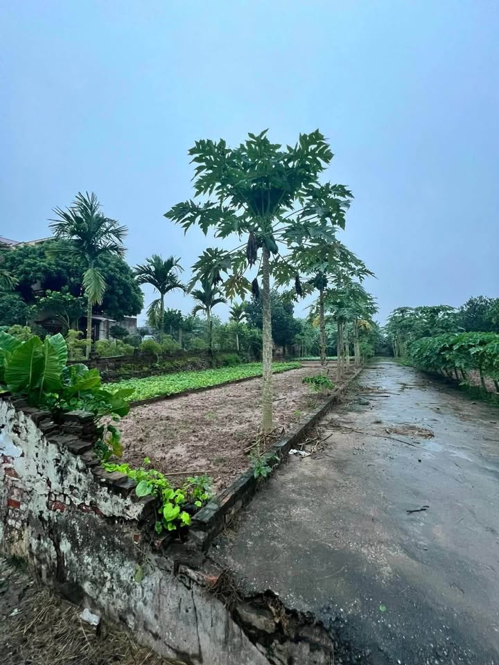 Đất thổ cư 40m² Thôn 5, Đan Phượng chỉ 1 tỷ - Tiện ích đầy đủ xung quanh!