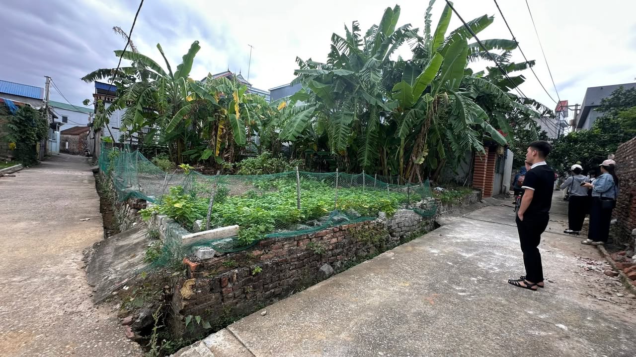 Đất nền Hồng Sơn, Mỹ Đức, Hà Nội 48.8m² giá dưới 1 tỷ - Cơ hội đầu tư không thể bỏ lỡ!