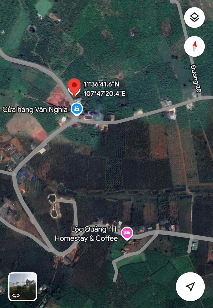 Đất nền Lộc Quảng Bảo Lâm 503m² giá 1.75 tỷ - View đẹp, đất trồng cà phê