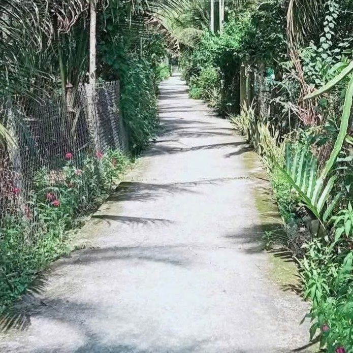 Đất vườn Dừa Tân Thành Bình 110.000m² giá 6 tỷ - Sổ đỏ chính chủ!