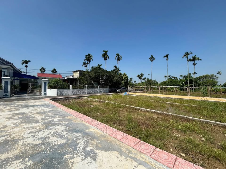 Đất thổ cư Bát Tràng 61m² giá 800 triệu - Cơ hội đầu tư sinh lời cao!