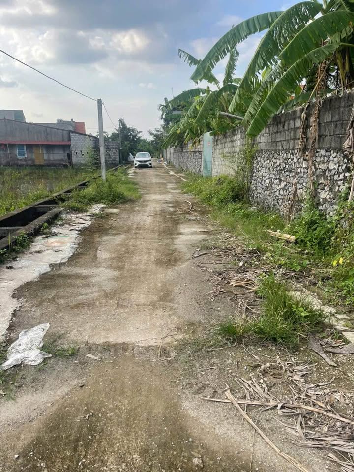 Đất nền An Tiến, Mỹ Đức, Hà Nội 80m² - Đầu tư sinh lời lý tưởng!